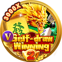 Self-Dealing Bài 2