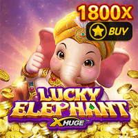 Fortune Elephant X-Huge